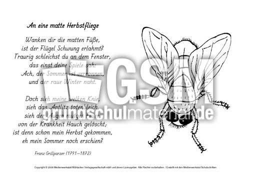 M-An-eine-matte-Herbstfliege-Grillparzer.pdf